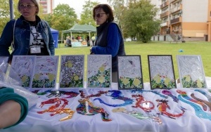 Festyn BSM (13)