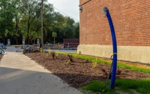 Kolonia Zgorzelec w rewitalizacji  (3)