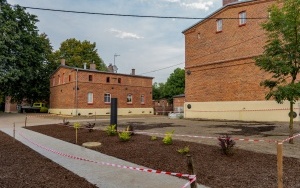 Kolonia Zgorzelec w rewitalizacji  (15)