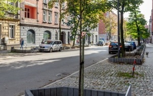 Zagospodarowanie ul. Mickiewicza (3)
