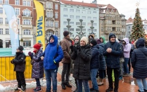 Choinki pod choinkę w Bytomiu (5)