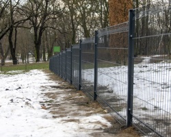 Ogrodzony wybieg dla psów już otwarty (3)