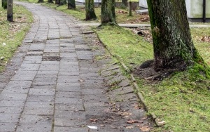 W przyszłym roku ruszy przebudowa ul. Tysiąclecia w Stroszku (3)