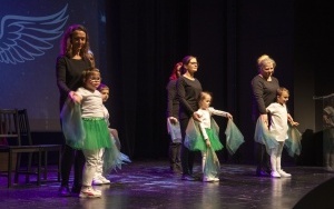 Gala wręczenia Aniołów Wolontariatu (12)