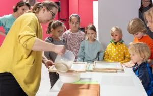 Muzeum Górnośląskie (8)