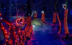 Walentynkowe iluminacje na Górze Miłości  (6)