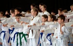 Bytom Miastem Karate. W Hali na Skarpie zaprezentują się najlepsi karatecy (1)