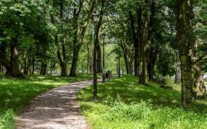Park Tiele-Wincklerów w Miechowicach. Radni Rady Miejskiej podjęli uchwałę o zmianie nazwy Parku Ludowego (4)