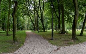 Park Tiele-Wincklerów w Miechowicach. Radni Rady Miejskiej podjęli uchwałę o zmianie nazwy Parku Ludowego (5)