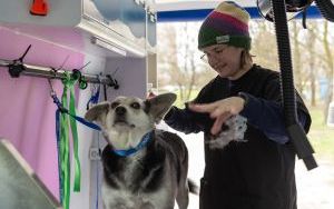  HAUto-Mobilny Groomer Sylwii Szymury (3)