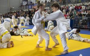 International Judo League (3)
