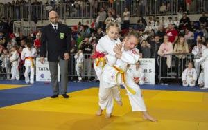 International Judo League (14)