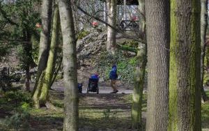 W Parku Miejskim w Bytomiu rywalizowano w Mistrzostwach Śląska w orientacji precyzyjnej  (1)