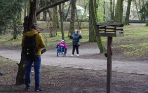 W Parku Miejskim w Bytomiu rywalizowano w Mistrzostwach Śląska w orientacji precyzyjnej  (12)