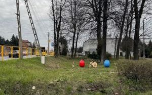 Ozdoby wielkanocne (3)
