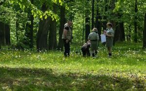 Harcerze harcowali w Parku Winklerów. (8)