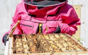 Spotkanie w pasiecie Ule Uli  (8)