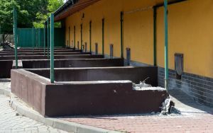 Stawiamy na łapy. Rozpoczęła się realizacja projektu w ramach #BO_Bytom (1)