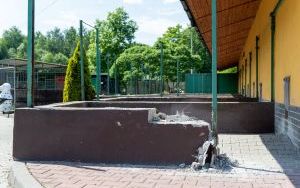 Stawiamy na łapy. Rozpoczęła się realizacja projektu w ramach #BO_Bytom (2)