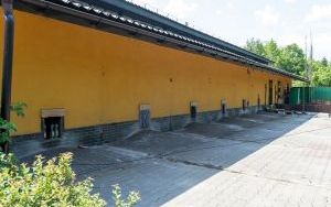 Stawiamy na łapy. Rozpoczęła się realizacja projektu w ramach #BO_Bytom (4)