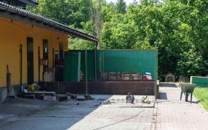 Stawiamy na łapy. Rozpoczęła się realizacja projektu w ramach #BO_Bytom (5)