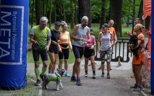 Biegali 12 godzin dla bytomskiego schroniska (8)