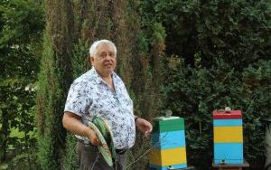 Miód bez tajemnic. Święto Pszczół w Bytomiu (11)