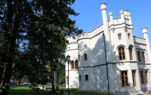 W Pałacu w Miechowicach dla miłośników pszczół przygotowano wiele atrakcji (10)