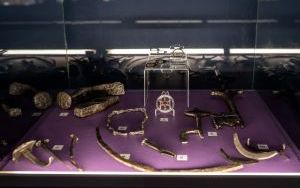 Wystawa przygotowana przez pracowników Działu Archeologii Muzeum Górnośląskiego w Bytomiu z okazji 770-lecia nadania praw miejskich Bytomiowi (10)