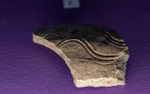 Wystawa przygotowana przez pracowników Działu Archeologii Muzeum Górnośląskiego w Bytomiu z okazji 770-lecia nadania praw miejskich Bytomiowi (14)