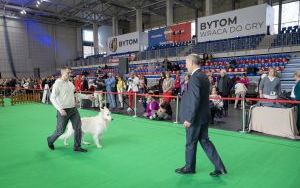 Psie championy w Hali na Skarpie (6)