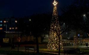 W mieście rozbłysły świąteczne dekoracje i iluminacje (3)