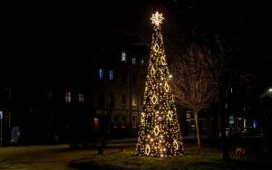 W mieście rozbłysły świąteczne dekoracje i iluminacje (7)