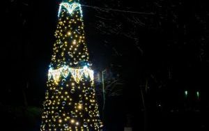 W mieście rozbłysły świąteczne dekoracje i iluminacje (10)
