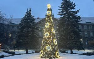 W Śródmieściu rozbłysły świąteczne dekoracje i iluminacje (1)