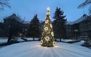 W Śródmieściu rozbłysły świąteczne dekoracje i iluminacje (2)