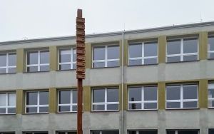 Ogród deszczowy przy SP 51  (6)