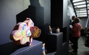 Wernisaż wystawy Żabie Doły w CSW Kronika (5)
