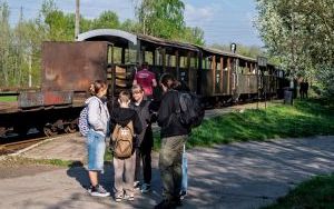 Porządkowanie terenów wokół torowiska wąskotorówki (2)