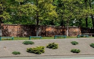 „Piątka” będzie miała swój ogrodowy raj (5)