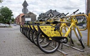 Bytom pozyskał 2,5 mln zł z GZM na przygotowanie Programu Funkcjonalno-Użytkowego dwóch miejskich odcinków velostrad