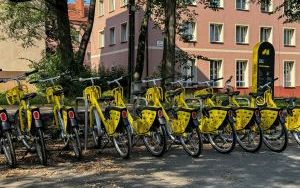 Bytom pozyskał 2,5 mln zł z GZM na przygotowanie Programu Funkcjonalno-Użytkowego dwóch miejskich odcinków velostrad