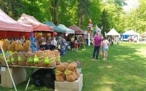 Trzeciomajowy Rodzinny Piknik (6)