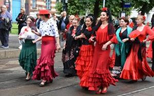 Jubileuszowy Piknik Operowy z okazji 80-lecia (6)