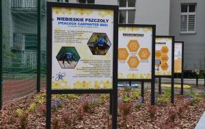 Otwarcie ekopracowni w Branżowej Szkole I Stopnia nr 8 (4)
