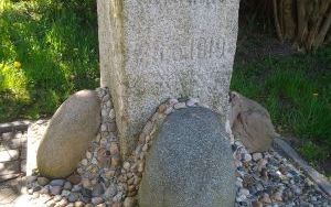 Szlakiem św. Jakuba w Bytomiu i Reptach Śląskich. Odwiedź i poznaj historię Rezerwatu „Segiet” (4)