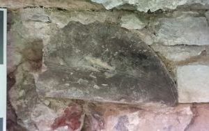 Kolejne tajemnicze odkrycie archeologów w kościele pw. św. Wojciecha (7)