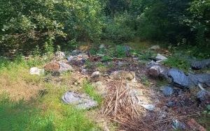  BZUK usunął dzikie wysypiska  (4)