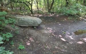  BZUK usunął dzikie wysypiska  (5)