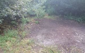  BZUK usunął dzikie wysypiska  (6)